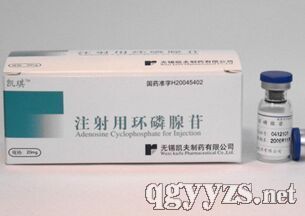 射用環(huán)磷腺苷