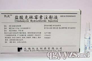 鹽酸克林霉素注射液