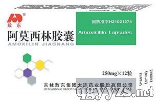 阿莫西林膠囊
