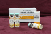 ��Ȯ���������򵰰�