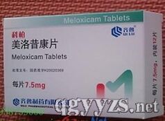 ��������Ƭ