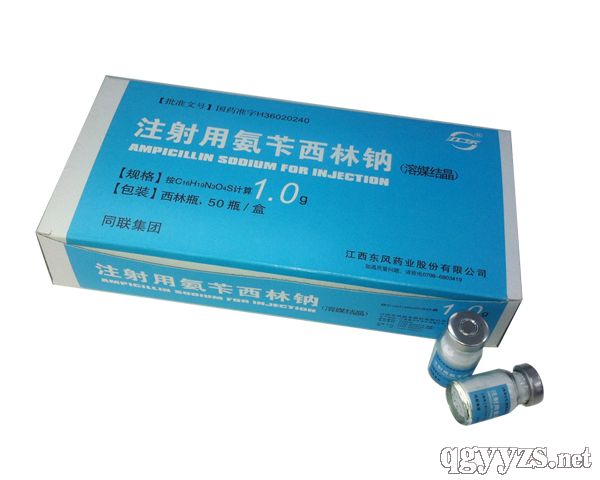 ע���ð��S�����c