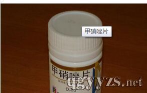 ������Ƭ