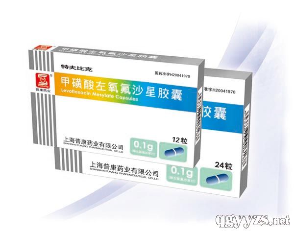 甲磺酸左氧氟沙星膠囊