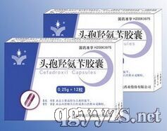 �^���u���S�z��