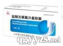 鹽酸左氧氟沙星膠囊