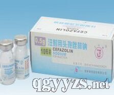 注射用頭孢唑林鈉1.0g