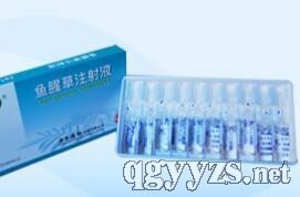 魚腥草注射液2ml
