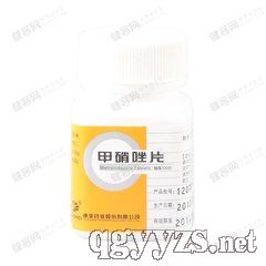 ������Ƭ