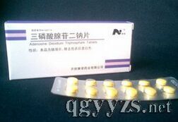 ���������ն��cƬ