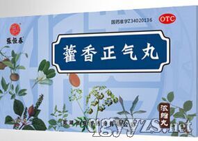 ޽��������