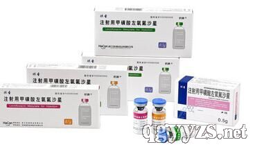 注射用甲磺酸左氧氟沙星0.4g