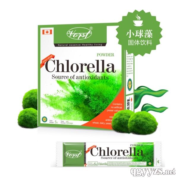 ���׺�С�����