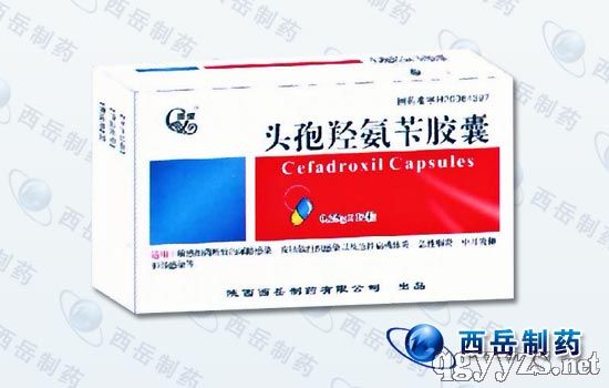 �^���u���S�z��