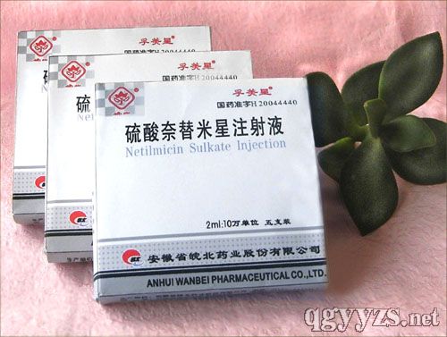 硫酸奈替米星注射液