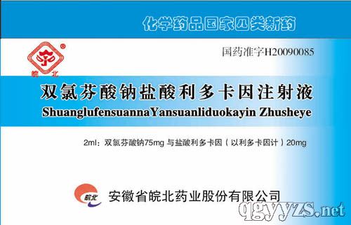 雙氯芬酸鈉鹽酸利多卡因注射液