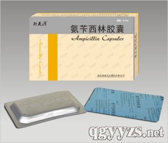 ���S�����z��