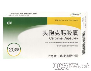 L-ه�����}���}�w��