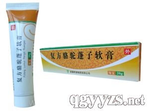 �ͷ�������ܛ��