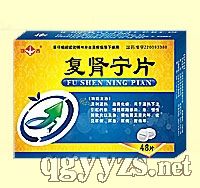 復(fù)腎寧片