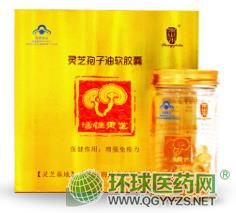 �`֥������ܛ�z��