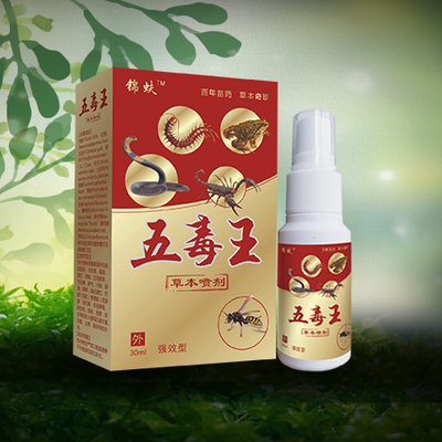 �嶾���ݱ�����