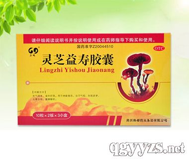 �`֥����z��