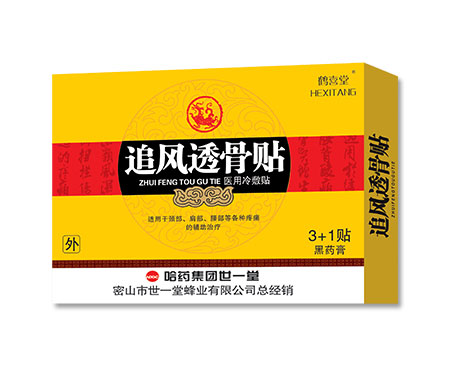 追風(fēng)透骨貼