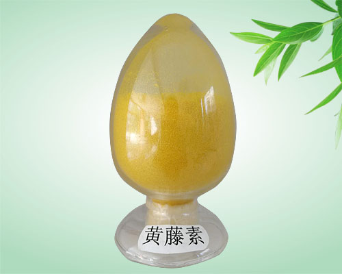 黃藤素
