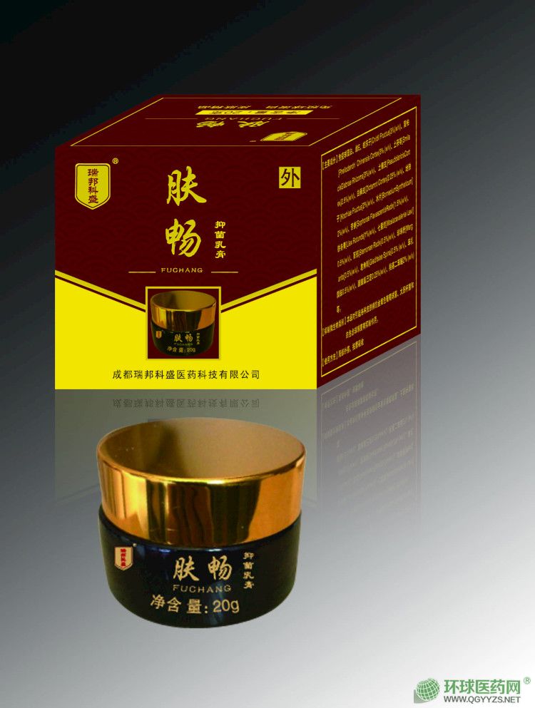 �w�������򵰰����