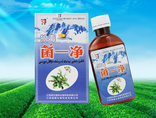 �Ƕ���һ��