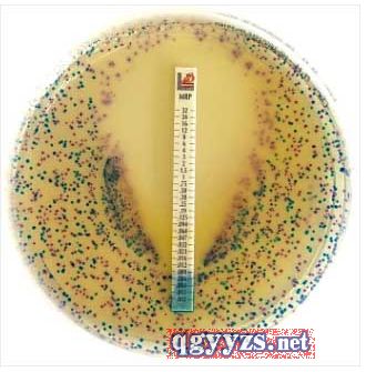 ��������w�Y��MIC��