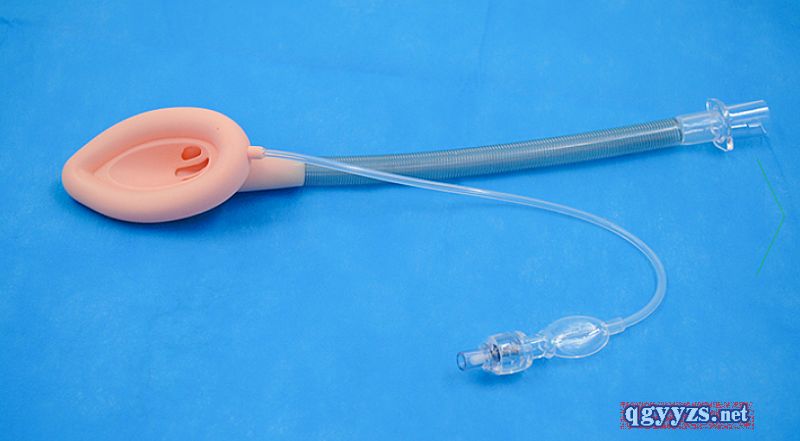 �t(y��)�ú��֣�һ�����t(y��)�ú���