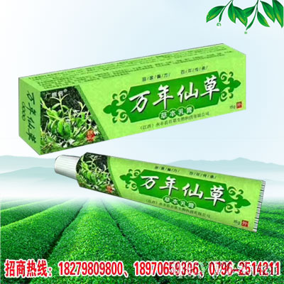 萬年仙草草本乳膏