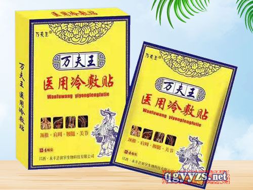 萬夫王醫(yī)用冷敷貼