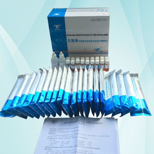 ֧ԭ�w���x�b��ԇ���У������✫ϡጷ���