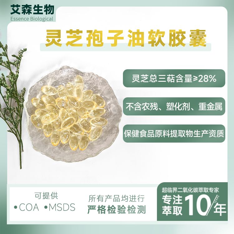 �`֥������ܛ�z��