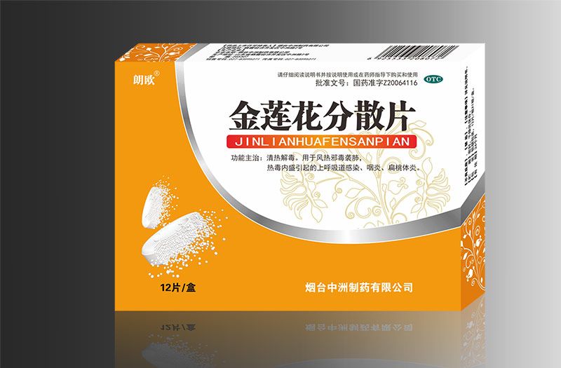 ��ɏ����ɢƬ