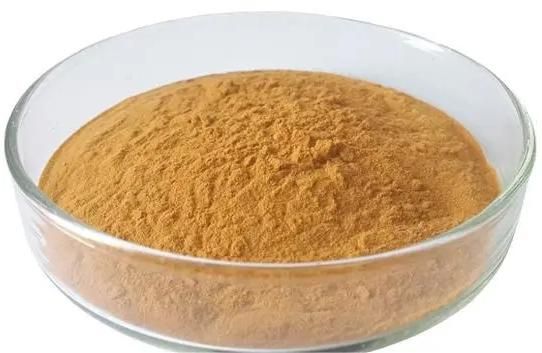 �ɹ�����