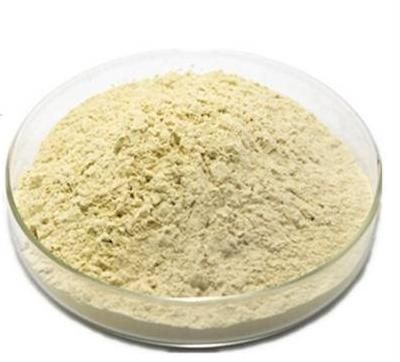 �˅�������