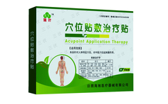 膏藥招商代理廠家 膏藥招商代理廠家